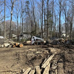D&E Tree Service & Landscaping