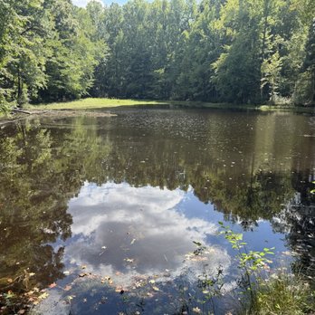 Lake Lynn Park - Parks Near Me - Raleigh, North Carolina