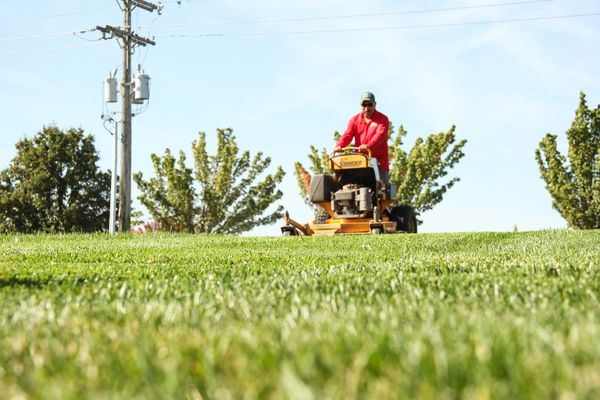 Custom Lawn & Landscape