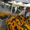 Bernardsville Farmers Market gift card
