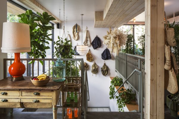 Treehouse Hollywood by null