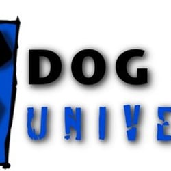 Bark Boarding Giftly Beautiful Gift Card Alternative