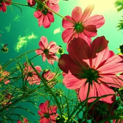 Two Rivers Integrative Medicine