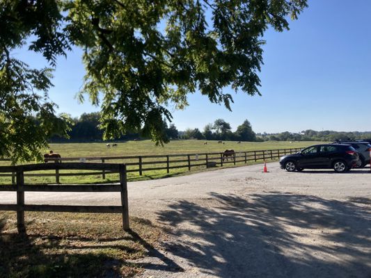 Waredaca Brewing Company by null