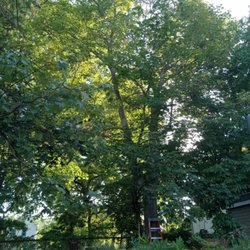 AP Servicios Generales