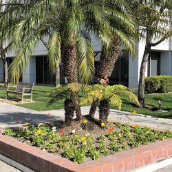 M3 Wake Research Los Alamitos - Courtyard