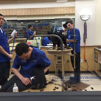 PetSmart - Pet Stores Near Me - Costa Mesa, California PetSmart - Pet Stores Near Me - Costa Mesa, California