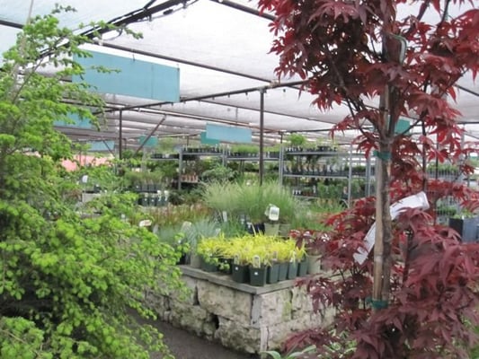 Fiesta Farms by null