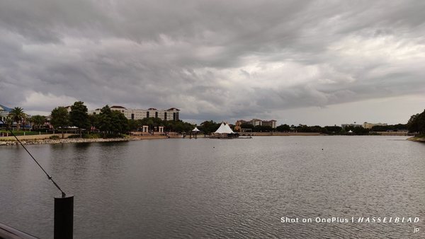 Cranes Roost Park by null