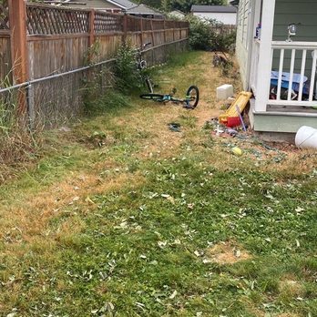 Lotus Junk Removal - After yard waste removal - Junk Removal & Hauling Near Me - Tacoma, Washington Lotus Junk Removal - After yard waste removal - Junk Removal & Hauling Near Me - Tacoma, Washington