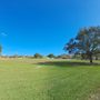 Photo of Continental Park