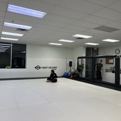 Fight Factory Jiu-jitsu - The mat. Very clean
