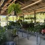 Citrus Park Landscape Nursery