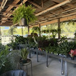 Citrus Park Landscape Nursery
