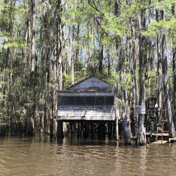 Big Cypress Tours - Boat Tours Near Me - Uncertain, Texas