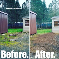 Wever's Tree Service - Stump grinding 6 inches below surface.