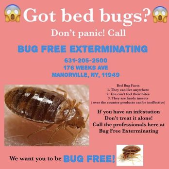 Bug Free Exterminating - Pest Control Near Me - Manorville, New York