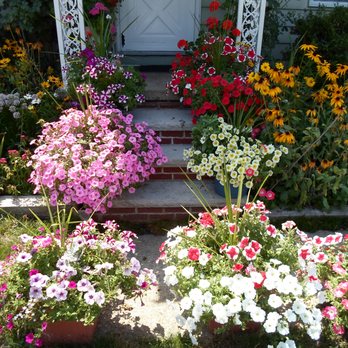 Green Escapes - Blooms, blooms and more blooms - Landscaping Near Me