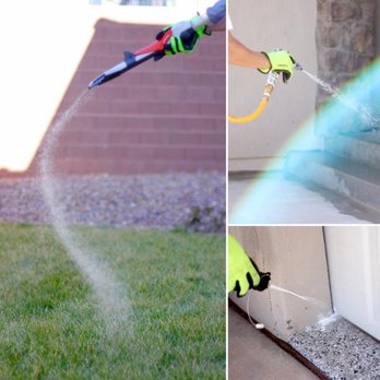 Emerald Pest Control - We provide a 3-point barrier around your home treating 3 feet up and 3 feet out, keeping pests not only out of your home but AWAY from it. - Pest Control Near Me Emerald Pest Control - We provide a 3-point barrier around your home treating 3 feet up and 3 feet out, keeping pests not only out of your home but AWAY from it. - Pest Control Near Me