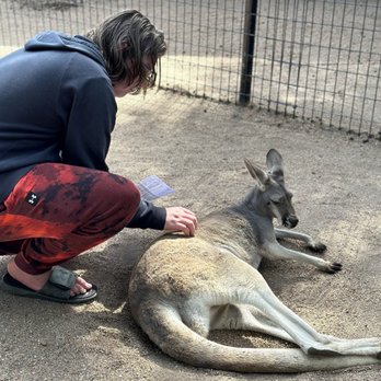 Tanganyika Wildlife Park - Kangaroo interaction - Zoos Near Me - Goddard, Kansas Tanganyika Wildlife Park - Kangaroo interaction - Zoos Near Me - Goddard, Kansas