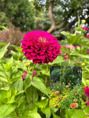 Lake Harriet Bandshell Park by null