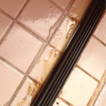 Hawks Cay Resort - Moldy shower track in handicapped unit is disgusting. Reported to the front desk twice w/no response. This in a $650/night unit! - Resorts Near Me - Duck Key, Florida Hawks Cay Resort - Moldy shower track in handicapped unit is disgusting. Reported to the front desk twice w/no response. This in a $650/night unit! - Resorts Near Me - Duck Key, Florida