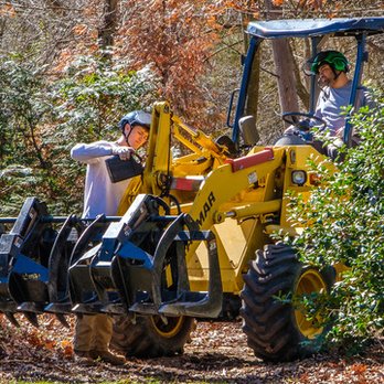 Freedom Tree Service - Tree Services Near Me - Manassas, Virginia Freedom Tree Service - Tree Services Near Me - Manassas, Virginia