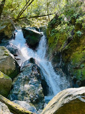 Sugarloaf Ridge State Park by null