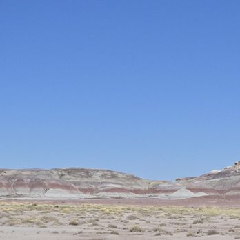 Petrified Forest National Park - Parks Near Me - Petrified Forest, Arizona