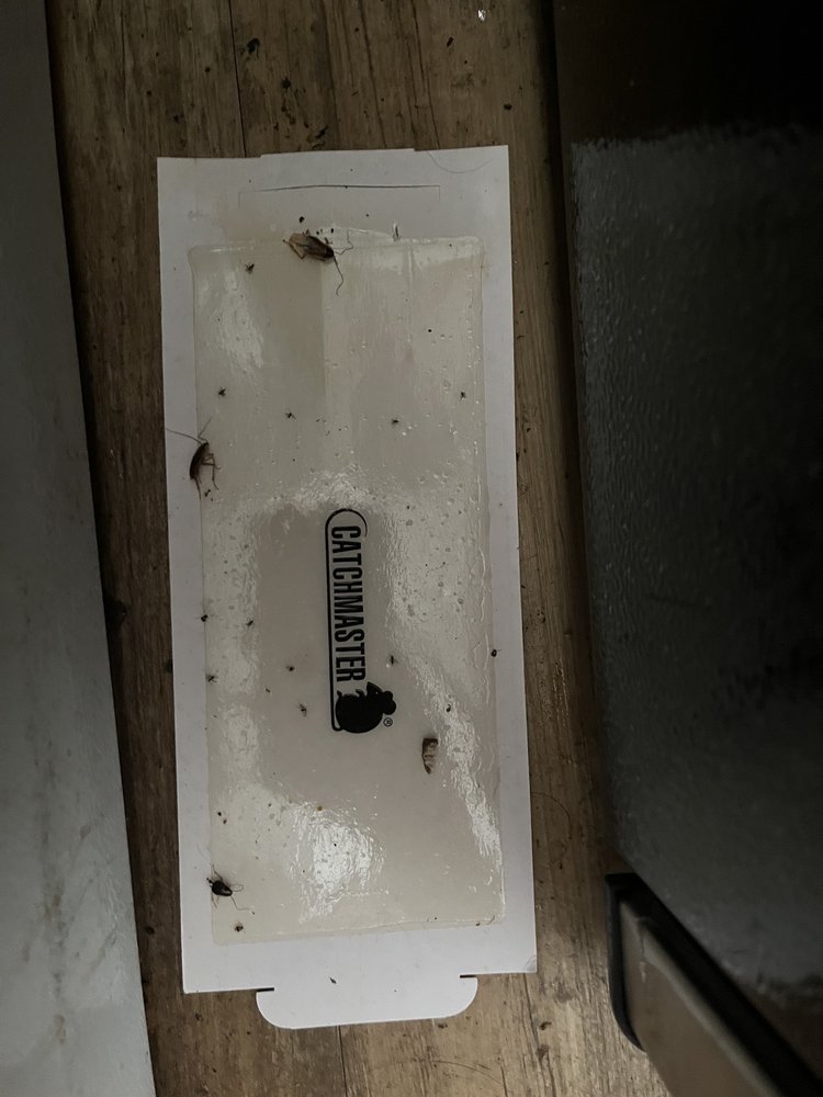 SUN TERRACE APARTMENT Updated September 2024 12 Photos & 10 Reviews