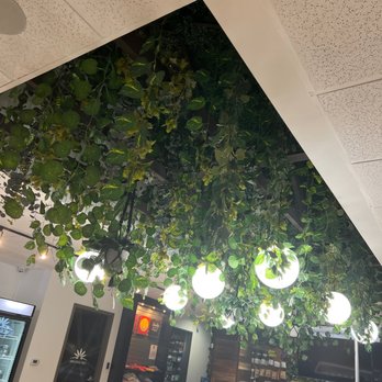 Evergreen Cannabis Dispensary - Super cute - Cannabis Dispensaries Near Me - Santa Ana, California