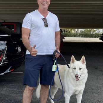 Train With Wendi - Pet Training Near Me - Boca Raton, Florida Train With Wendi - Pet Training Near Me - Boca Raton, Florida