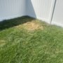 Photo of Leon Fence