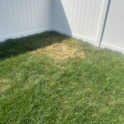 Leon Fence