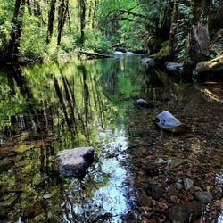 Falls Creek Falls - Icy cold, gorgeous
