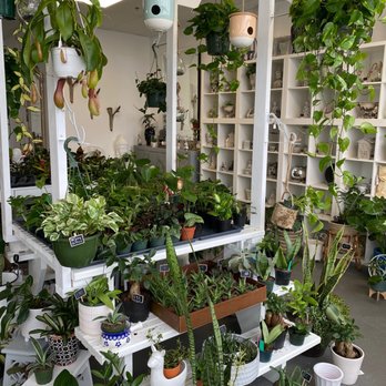 Nursery on Wheels - Such a wonderful place - Nurseries & Gardening Near Me - Orlando, Florida Nursery on Wheels - Such a wonderful place - Nurseries & Gardening Near Me - Orlando, Florida