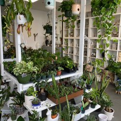 Nursery on Wheels - Such a wonderful place