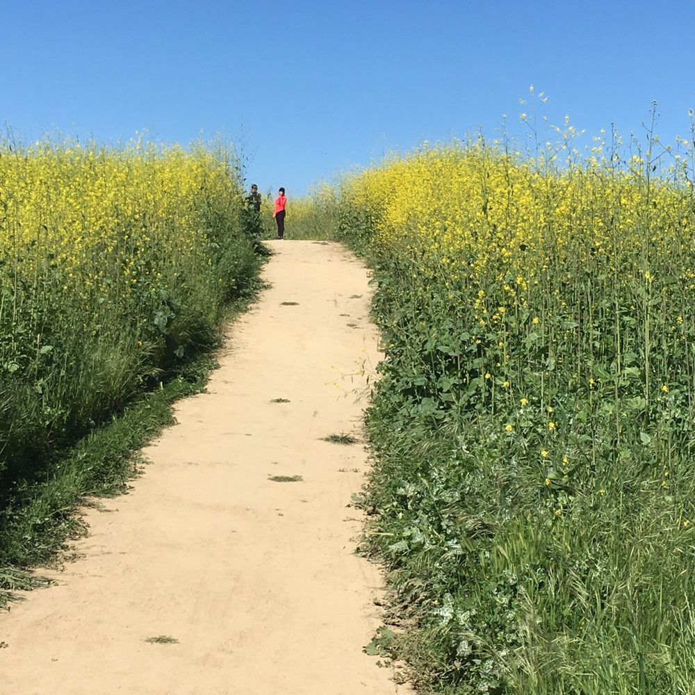 Sycamore Canyon Trail - Parks Near Me - Whittier, California Sycamore Canyon Trail - Parks Near Me - Whittier, California