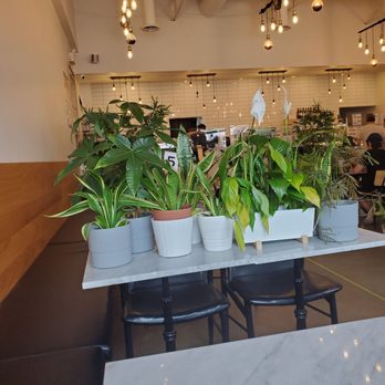 C Market Coffee - The interior - Coffee Roasteries Near Me - Coquitlam, British Columbia