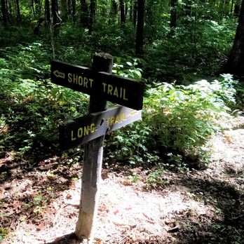 Bryan Woods Nature Preserve - about a quarter mile from the beginning of the forest trail, you get to choose how far you want to hike - Parks Near Me - Frankfort, Indiana Bryan Woods Nature Preserve - about a quarter mile from the beginning of the forest trail, you get to choose how far you want to hike - Parks Near Me - Frankfort, Indiana