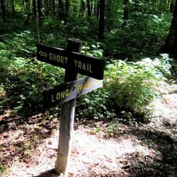 Bryan Woods Nature Preserve - About a quarter mile from the beginning of the forest trail, you get to choose how far you want to hike