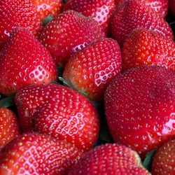 Toombs County Farmers Market - Strawberries