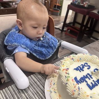 Freed's Bakery - My one year old enjoying his own circus smash cake. - Bakeries Near Me - Las Vegas, Nevada Freed's Bakery - My one year old enjoying his own circus smash cake. - Bakeries Near Me - Las Vegas, Nevada