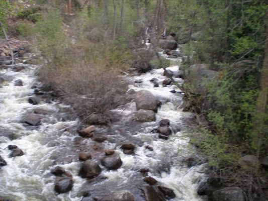 Hunter Creek Trail Head by null