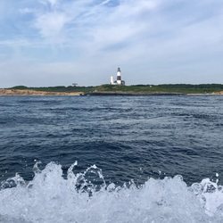 Sea Turtle Dive Charters