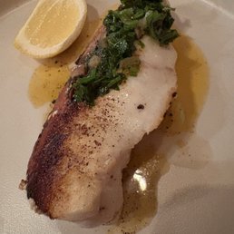 Wreck fish