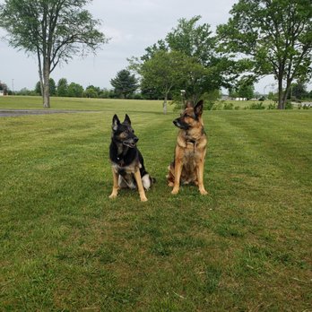 Alpena Veterinary Clinic - Kensie & Ares - Veterinarians Near Me - Alpena, Michigan Alpena Veterinary Clinic - Kensie & Ares - Veterinarians Near Me - Alpena, Michigan