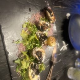 Oyster Oyster
