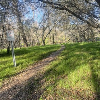 Renfree Park - Parks Near Me - Sacramento, California Renfree Park - Parks Near Me - Sacramento, California