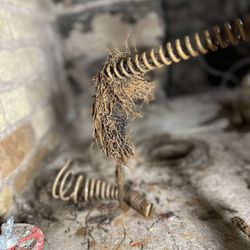 Flow-State Plumbing and Drains - Tree roots at the end of a drain cleaning auger taken at clients home in St. Catharines.